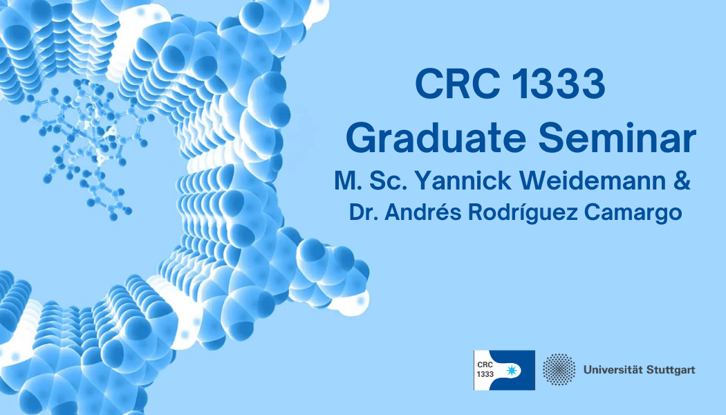 CRC 1333 Graduate Seminar M. Sc. Yannick Weidemann and Dr. Andrés Rodríguez Camargo