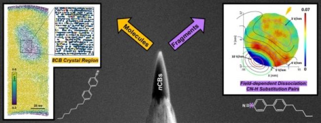 Revealing nanoscale molecular organization in Liquid Crystals via cryogenic Atom Probe Tomography