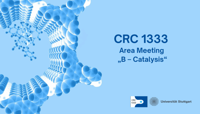 Area Meeting “B- Catalysis”
