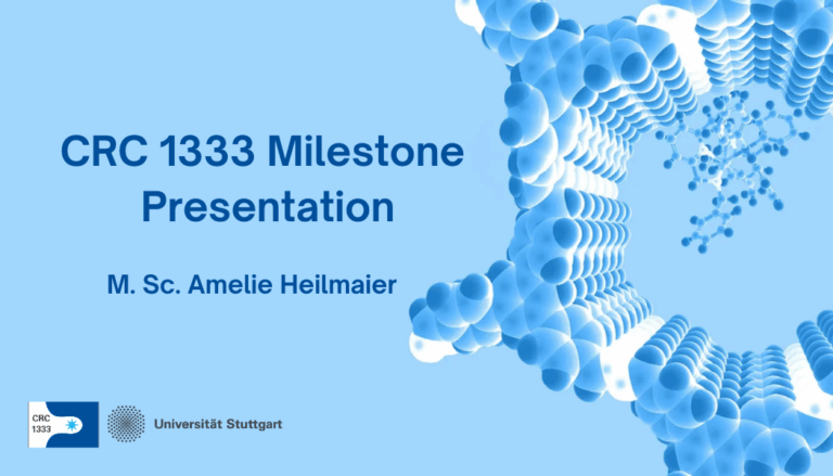 Milestone Presentation – M.Sc. Amelie Heilmaier