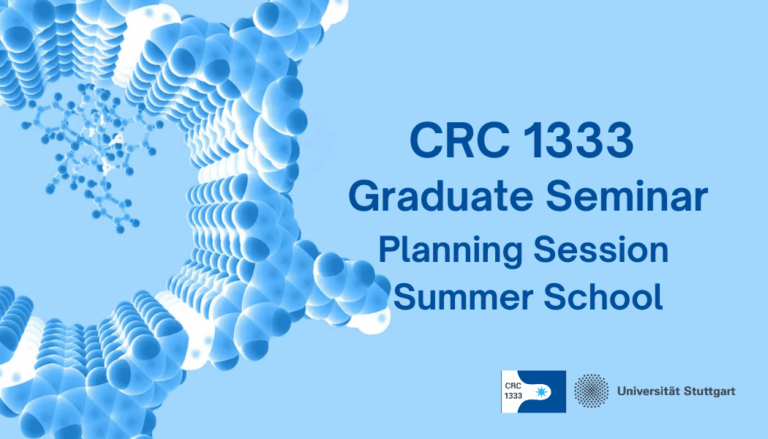 CRC 1333: Graduate Seminar – Planning Session Summer School