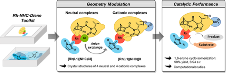 Chiral Rh Diene NHC Complexes and Their Application in Rh-Catalyzed Cycloisomerization of Enynes